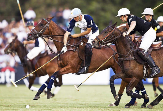 Argentina's Polo Powerhouse: A Magnet for Global Investors