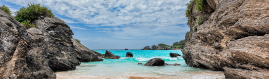 The Evolving Landscape of Modern Tax Havens